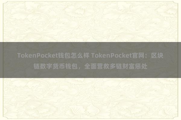 TokenPocket钱包怎么样 TokenPocket官网：区块链数字货币钱包，全面营救多链财富惩处