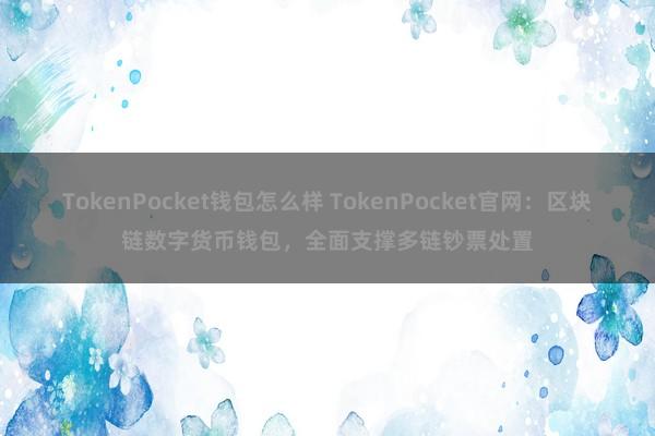 TokenPocket钱包怎么样 TokenPocket官网：区块链数字货币钱包，全面支撑多链钞票处置