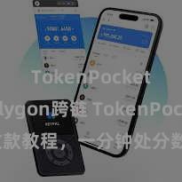 TokenPocket Polygon跨链 TokenPocket收款教程，一分钟处分数字货币收款妙技