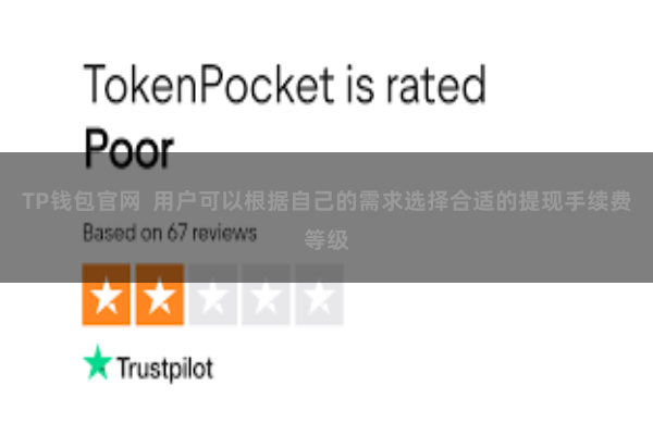 TP钱包官网  用户可以根据自己的需求选择合适的提现手续费等级